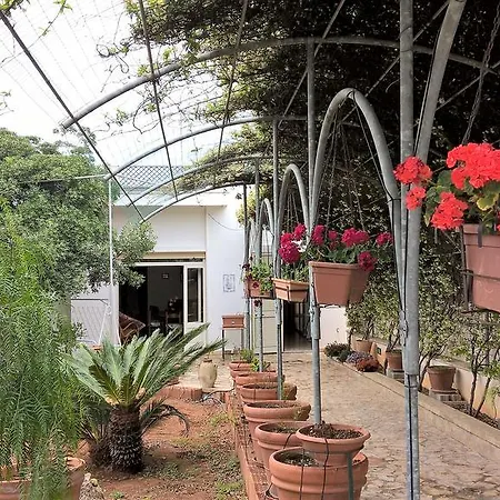 La Sclereide Salento